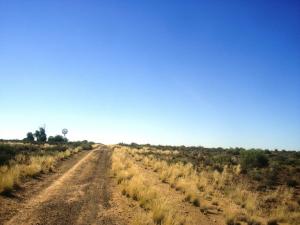 Passing through Jacobsfontein farm, we got onto a tweespoor