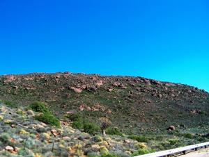 The Karoo-type vegetation has it's own beauty.: Dry as it is, it still has its own colour schemes that are hard to capture on film.