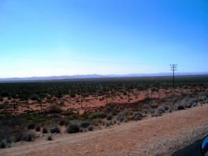 Land stretches as far as the eye can see: Richtersveld in the distance.