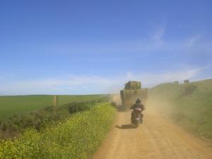The harvest is coming in all over, lots of agricultural traffic: Allan & Danelle waiting for a wider patch of road