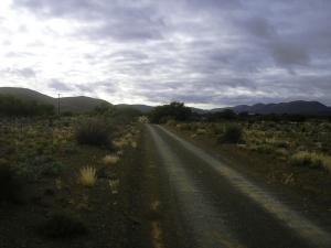 The corrugated Karoo path unfolds: and rattles our teeth