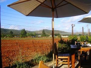 View from the Padlangs (really) restaurant/farmstall: having a birthday lunch/supper