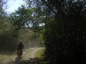 Riding through the forests and glades of Dwesa Nature Reserve