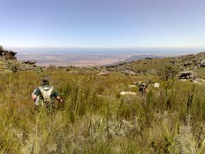 Hiking to the Bushman paintings: Crawling or short legs? Oh ... long grass!