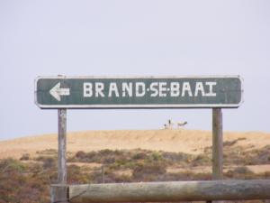 Brand-se-baai stop: Close your eyes Grant - there's sheep watching you in the background
