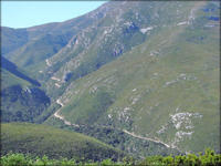 Montagu Pass